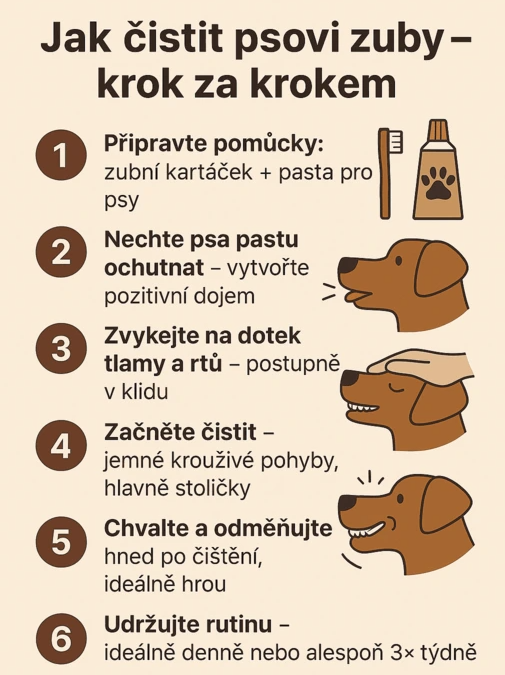 čištění krok za krokem